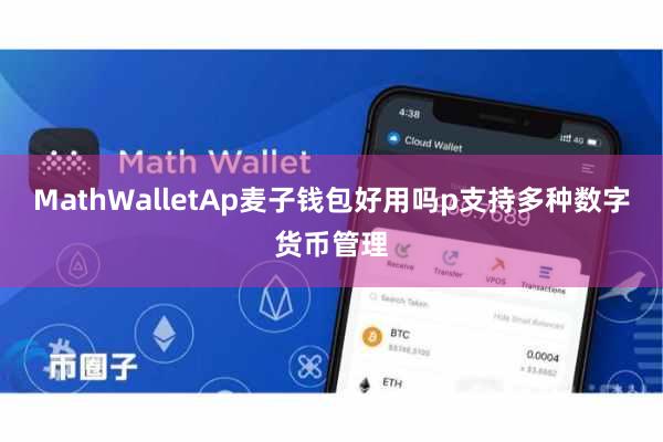 MathWalletAp麦子钱包好用吗p支持多种数字货币管理