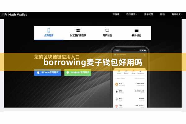 borrowing麦子钱包好用吗
