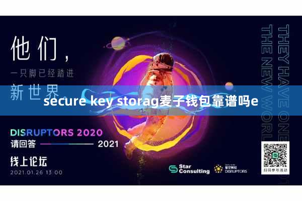 secure key storag麦子钱包靠谱吗e
