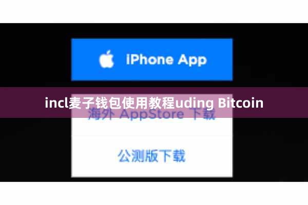 incl麦子钱包使用教程uding Bitcoin