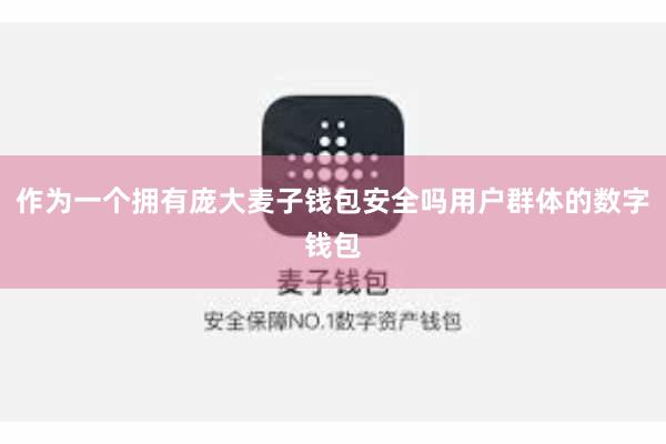 作为一个拥有庞大麦子钱包安全吗用户群体的数字钱包