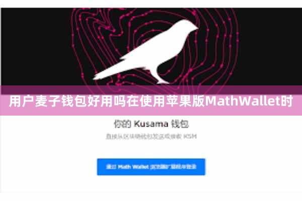 用户麦子钱包好用吗在使用苹果版MathWallet时