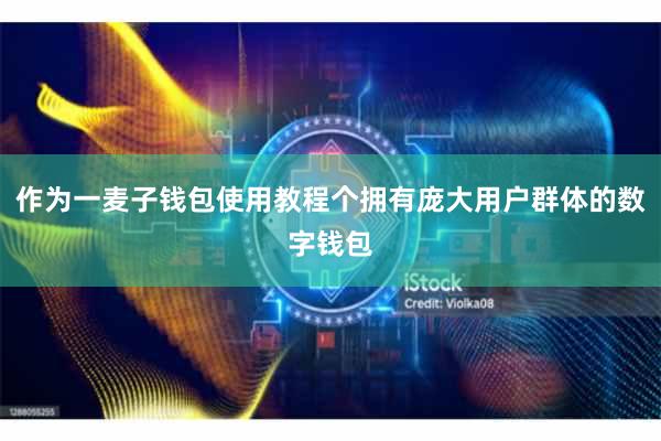 作为一麦子钱包使用教程个拥有庞大用户群体的数字钱包