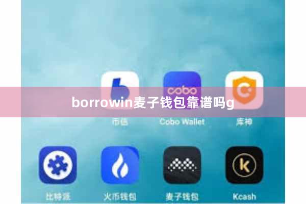 borrowin麦子钱包靠谱吗g
