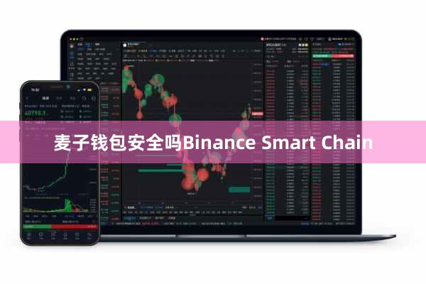 麦子钱包安全吗Binance Smart Chain