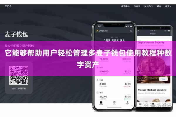 它能够帮助用户轻松管理多麦子钱包使用教程种数字资产