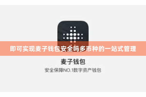 即可实现麦子钱包安全吗多币种的一站式管理