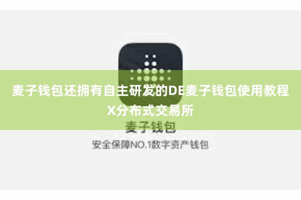 麦子钱包还拥有自主研发的DE麦子钱包使用教程X分布式交易所